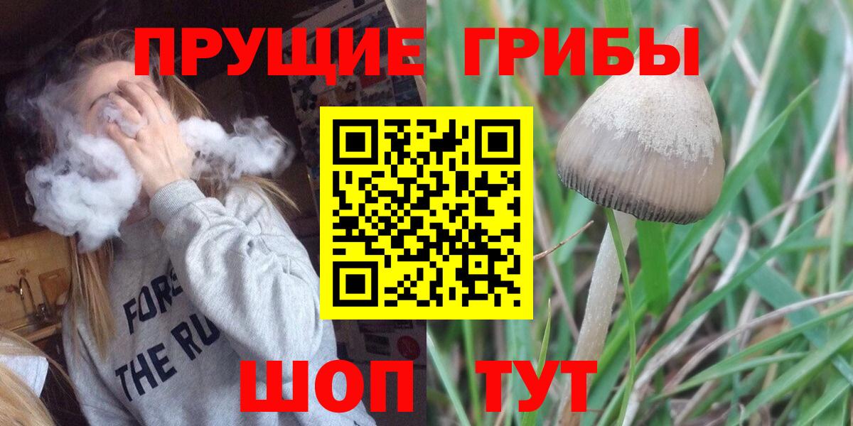 Галлюциногенные грибы мухоморы Донецк